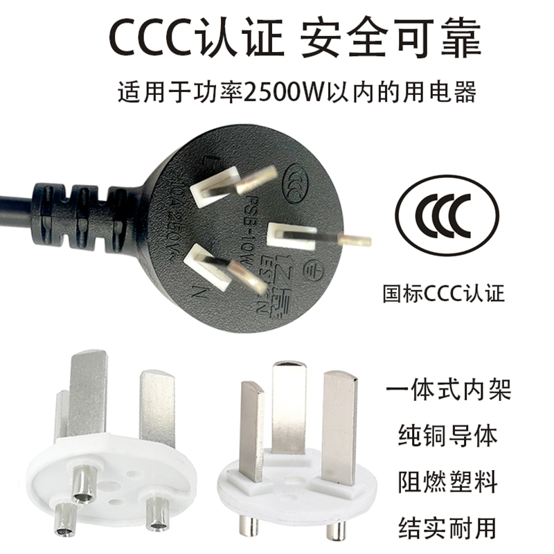 國標(biāo)雙頭電源線